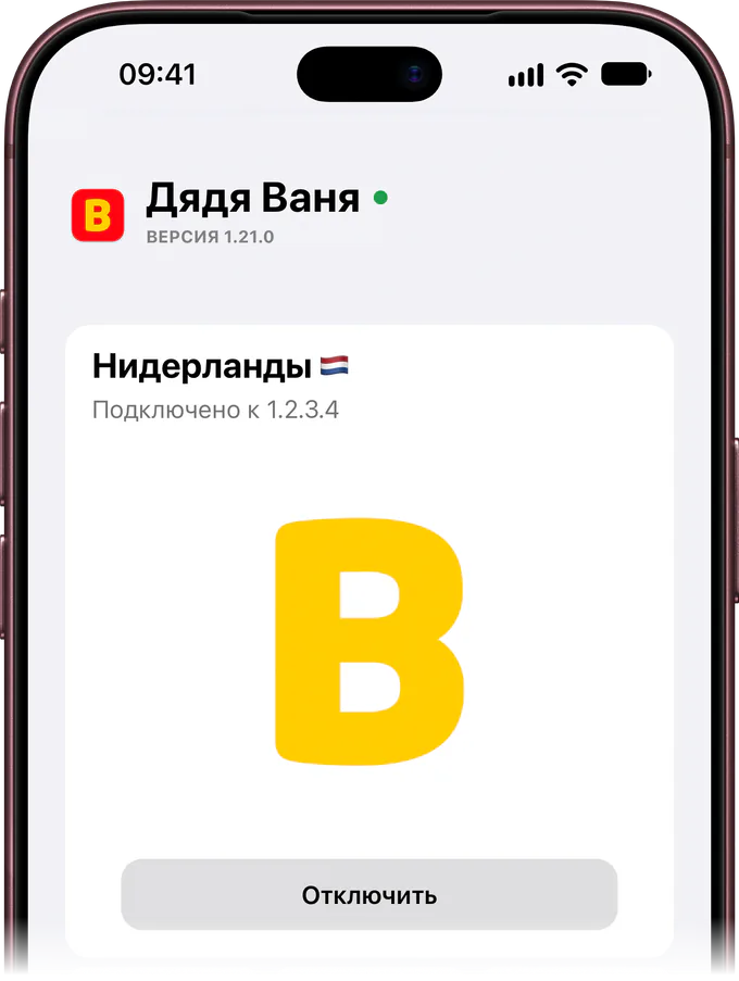 Экран приложения на iPhone: VPS подключён, локация Нидерланды