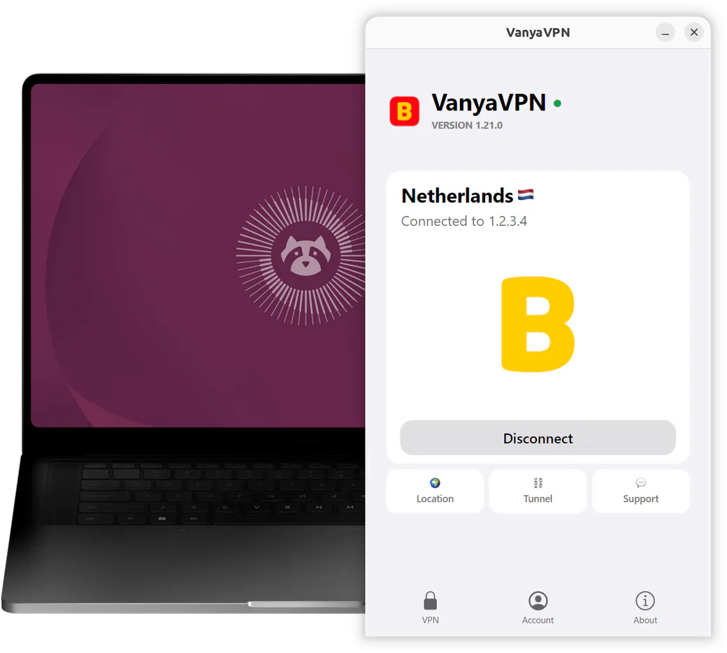 The VanyaVPS window on an Ubuntu laptop: connected, location Netherlands